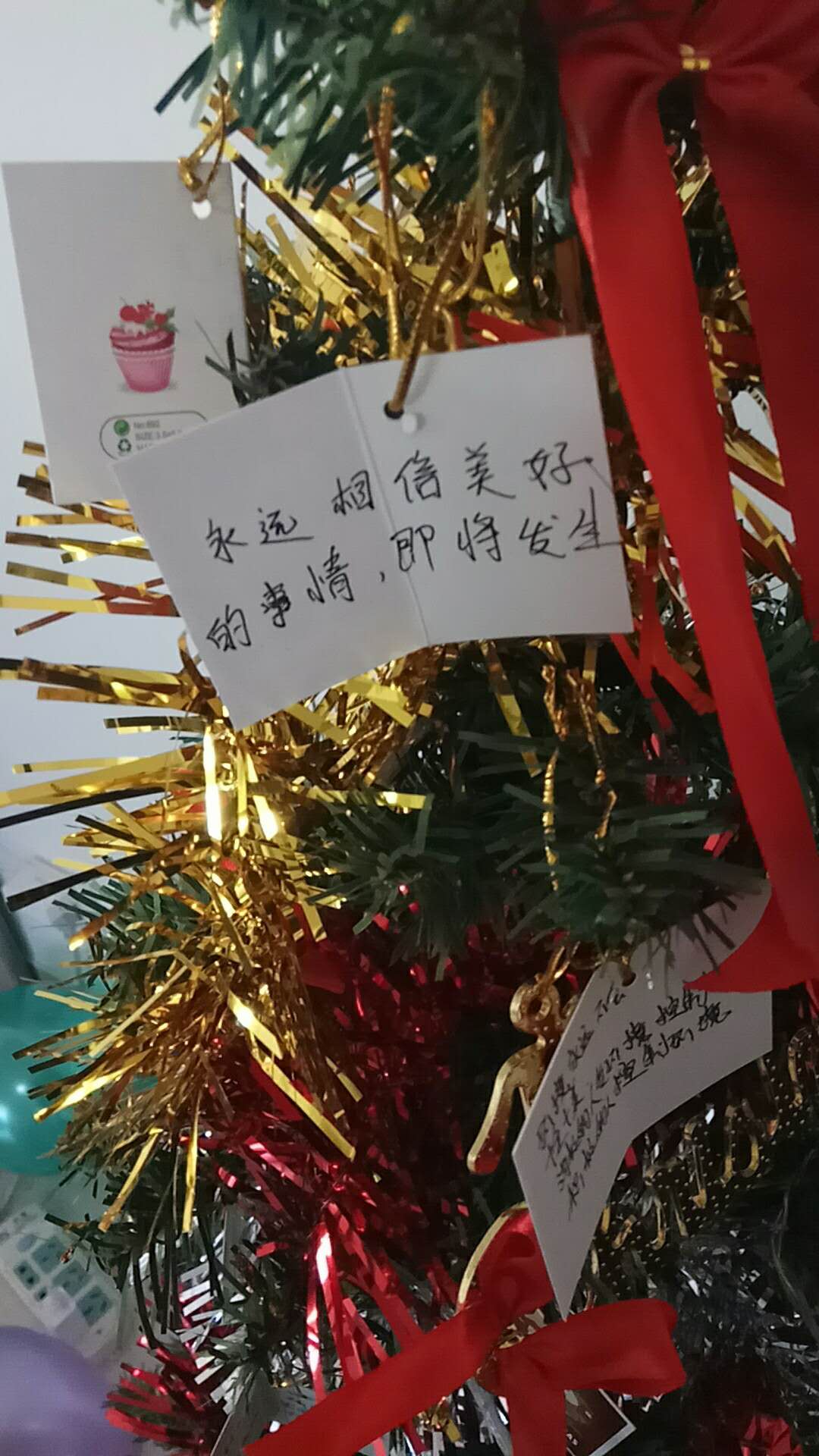 蓝网有爱|圣诞遇上冬至,祝您平安喜乐!